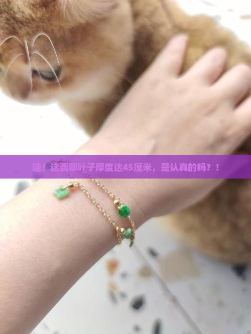 翡翠叶子厚度45厘米