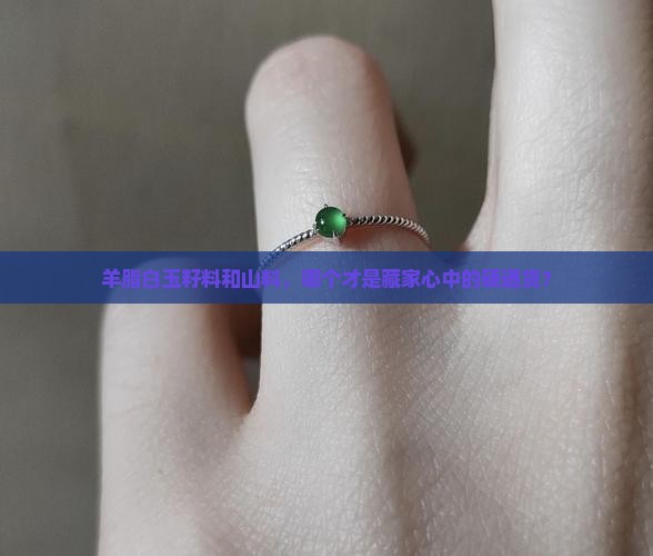 羊脂白玉籽料贵还是山料贵