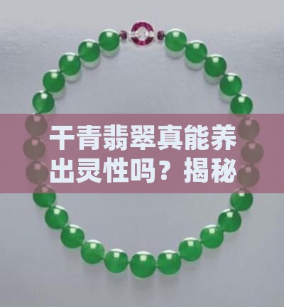 干青翡翠可以养透吗