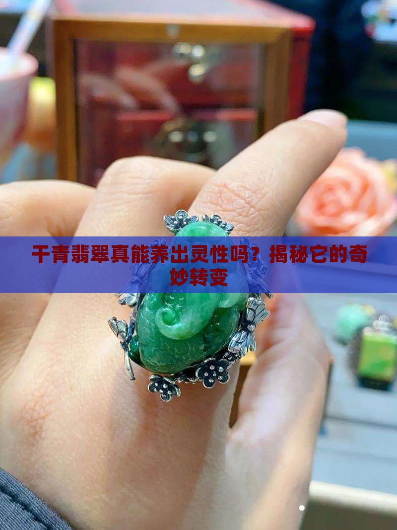 干青翡翠可以养透吗
