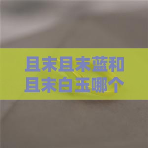 且末蓝和且末白玉哪个好