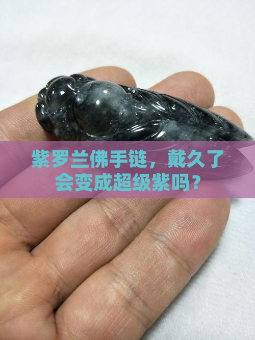 紫罗兰佛会越带越紫吗