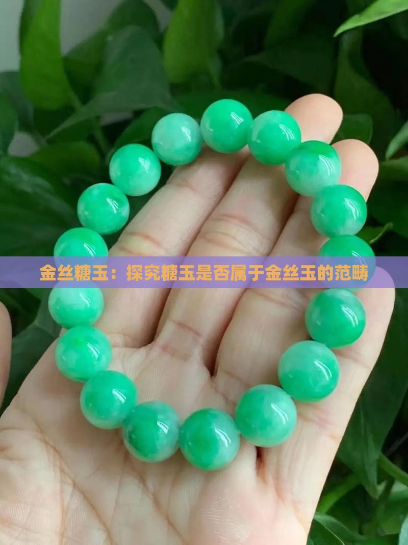 糖玉是金丝玉吗