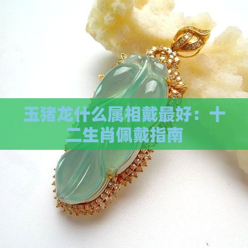 玉猪龙什么属相戴最好