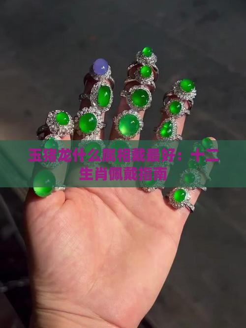 玉猪龙什么属相戴最好