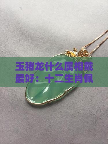 玉猪龙什么属相戴最好