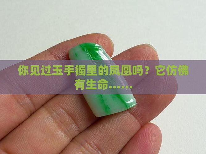 有人见过玉手镯里神奇的凤凰吗