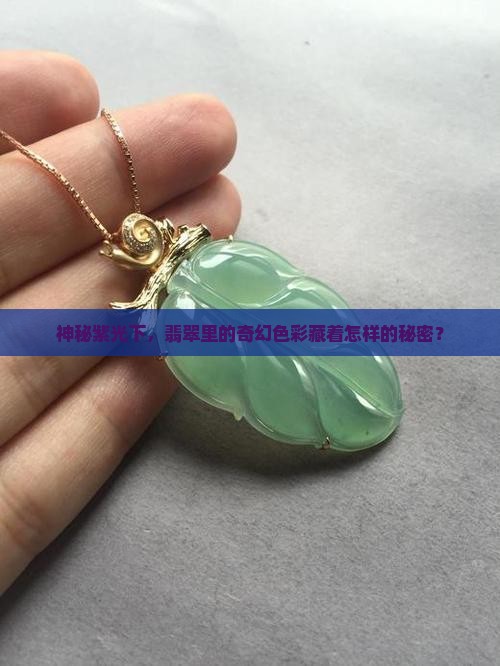 危料中的紫色翡翠在滤光中的