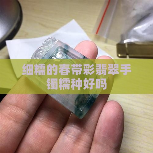 细糯的春带彩翡翠手镯好吗