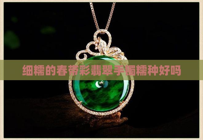 细糯的春带彩翡翠手镯好吗