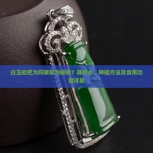 白玉枇杷是硬枝