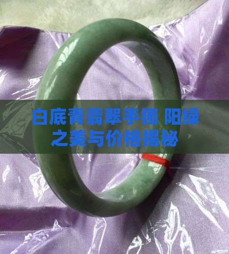 白青底飘阳绿翡翠手镯