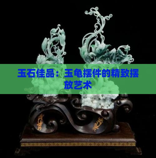 墨玉龟摆放