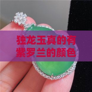 独龙玉有紫罗兰色吗
