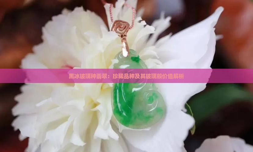 黑冰玻璃种翡翠