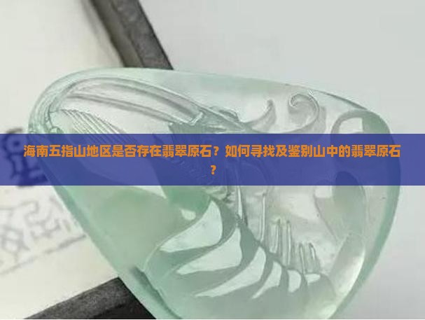 海南五指山的山里会有翡翠原石吗