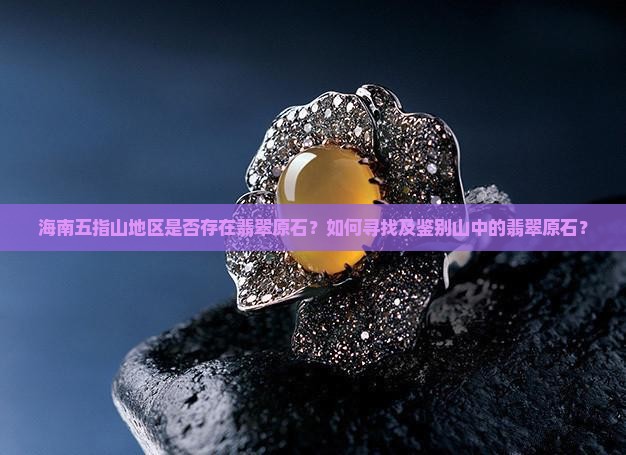 海南五指山的山里会有翡翠原石吗