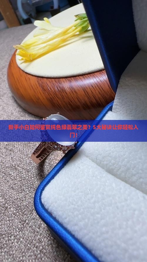 纯色绿翡翠