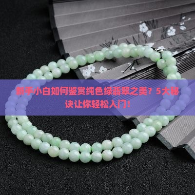 纯色绿翡翠