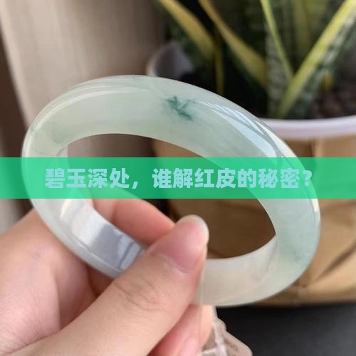 碧玉聚红皮
