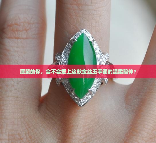 属鼠适合金丝玉手镯吗