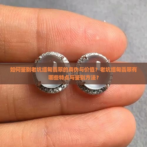 老坑缅甸翡翡翠