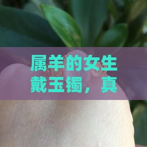 属羊女戴玉镯好吗