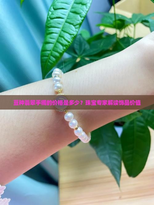 细豆种手镯值多少钱