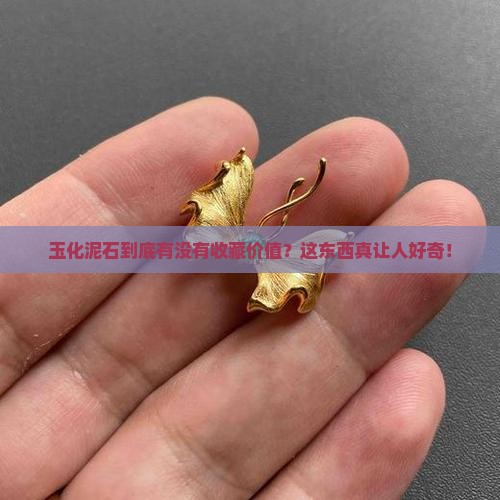 玉化泥石值钱吗