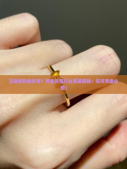 玉镶嵌的金多厚