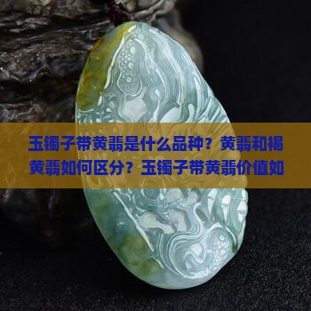 玉镯子带黄翡翠