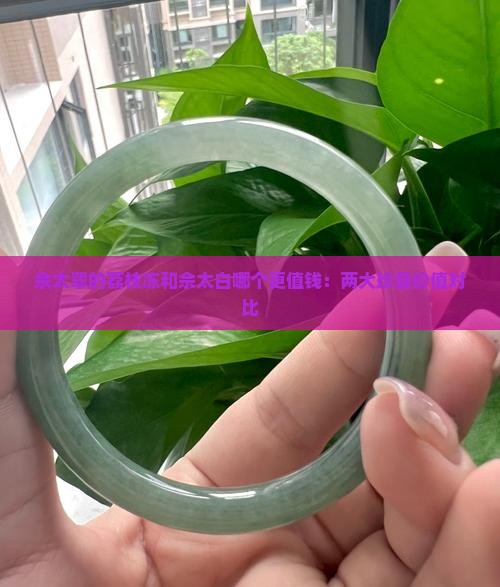 佘太翠的荔枝冻和佘太白哪个更值钱