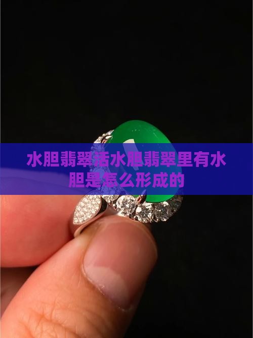水胆翡翠活水胆