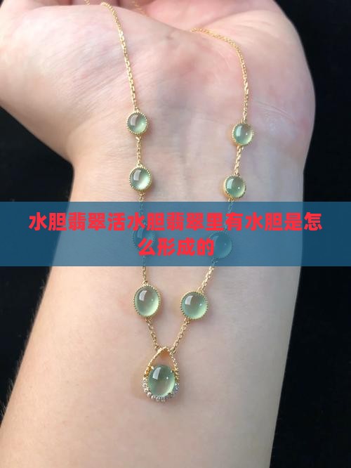 水胆翡翠活水胆