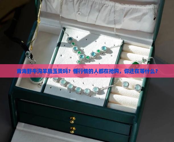 青海野牛沟羊脂玉贵吗