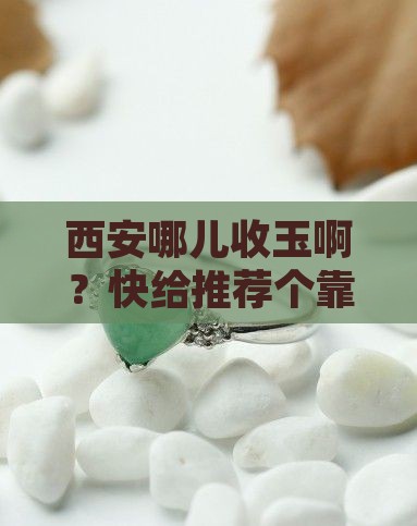 西安哪收玉