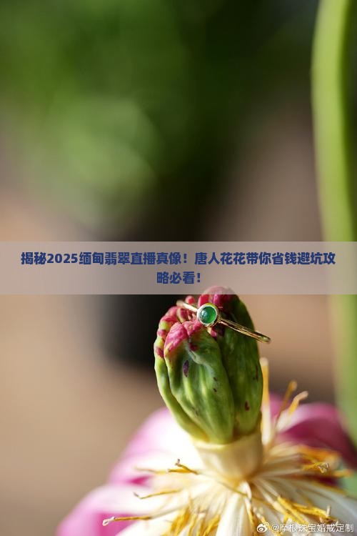 直播唐人花花缅甸翡翠