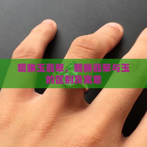 貔貅玉翡翠