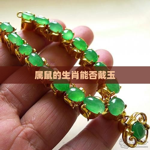 属鼠的人能不能戴玉