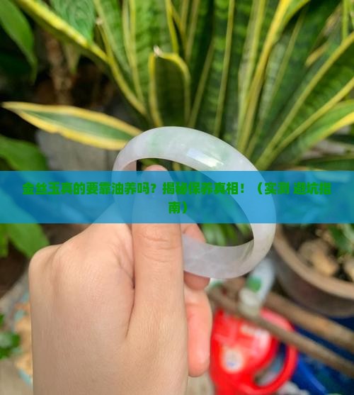 金丝玉要用油养吗