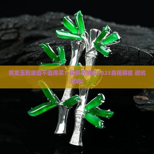 昆明石博会2023黄龙玉