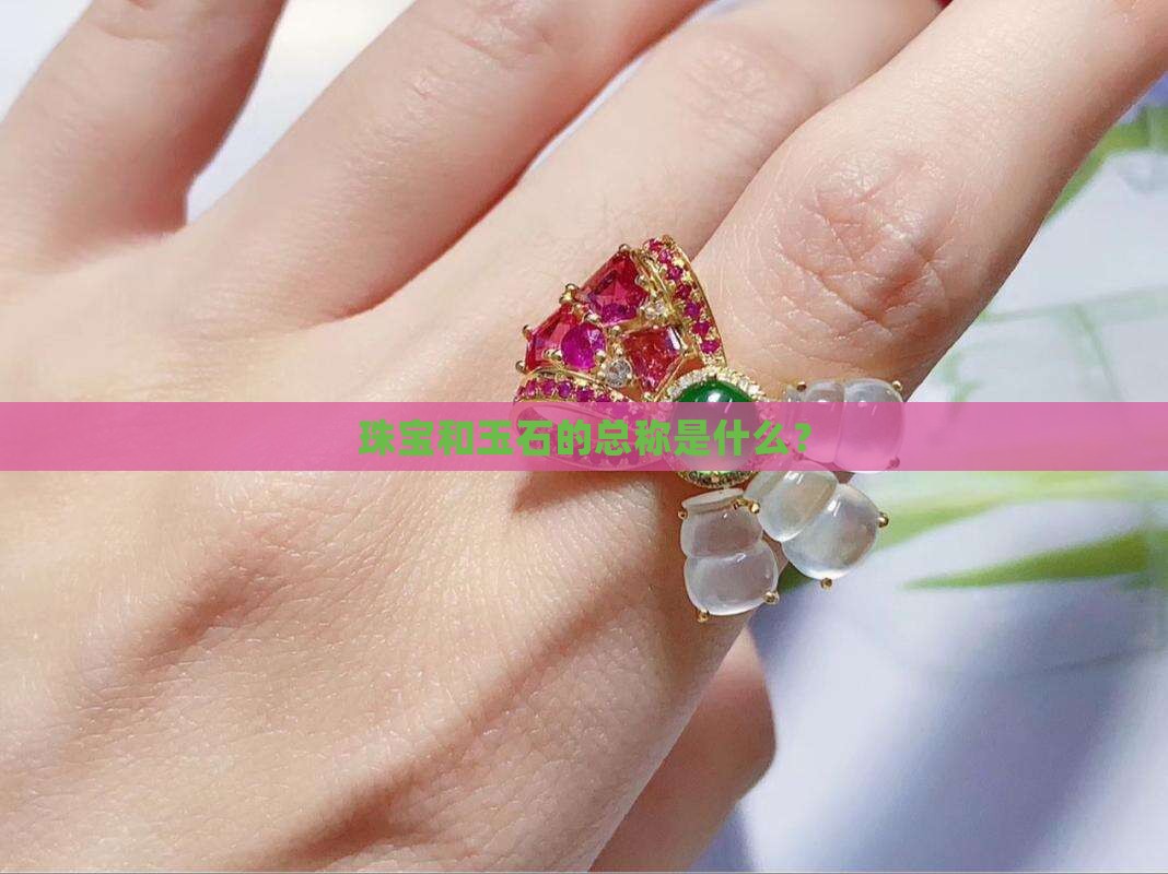 珠宝和玉石的总称一样吗