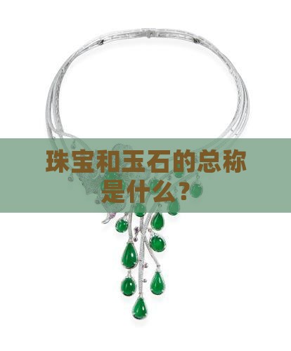 珠宝和玉石的总称一样吗