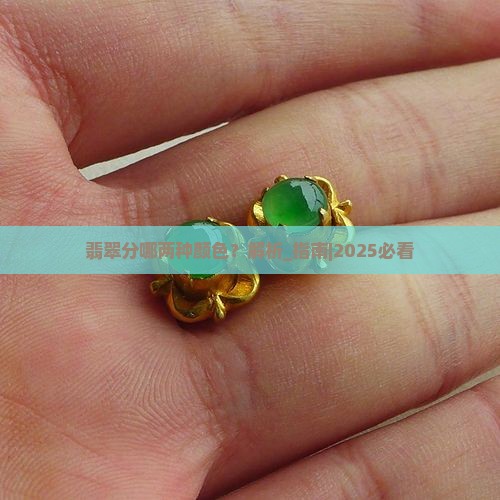 翡翠分哪两种颜色 翡翠分哪两种颜色