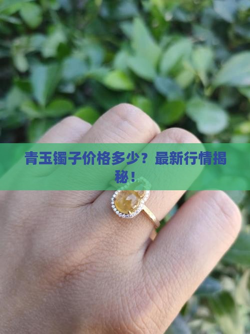 青玉镯子价格多少