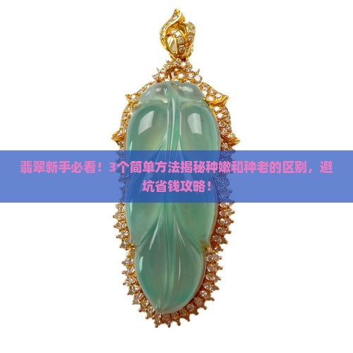翡翠种嫩和种老的区别在哪