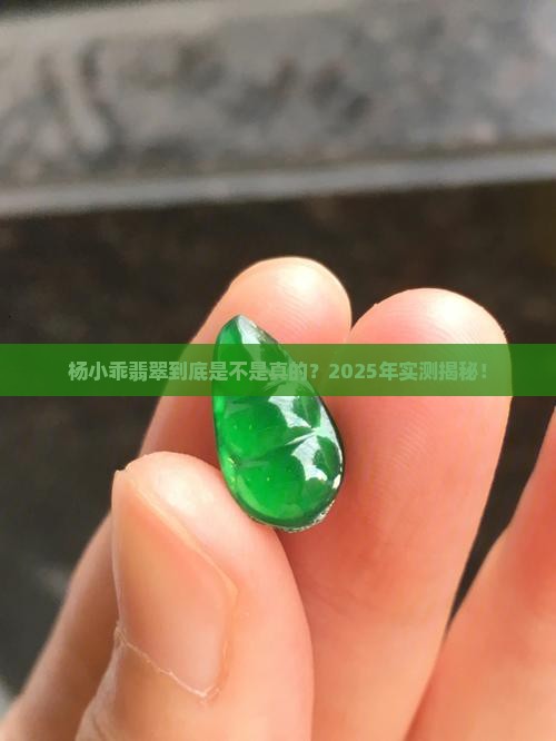 杨小乖翡翠真的吗
