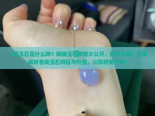 一般玉石是什么种