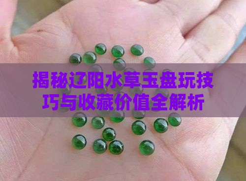 揭秘辽阳水草玉盘玩技巧与收藏价值全解析