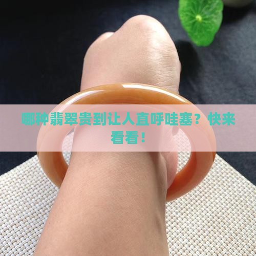 什么品种的翡翠最贵